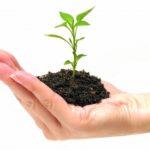 grow